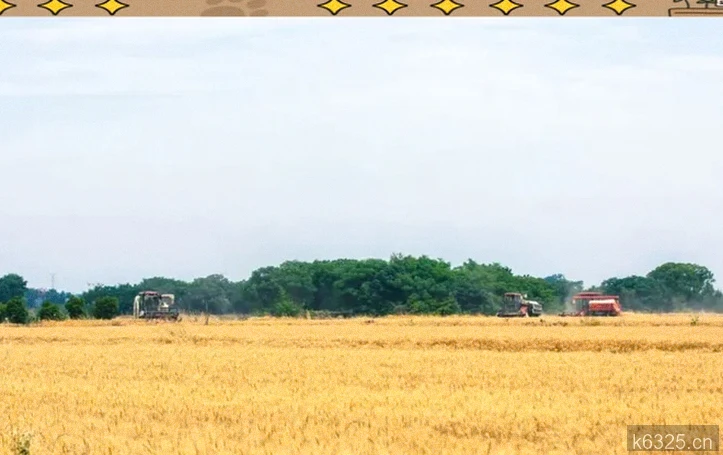 30句内在成长励志短句：修炼内心，向阳生长